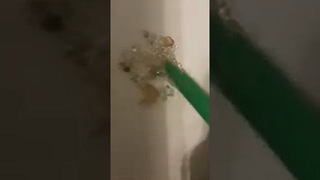 Как отличить настоящий бриллиант от поддельного? смотреть онлайн