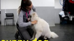 Упражнения для спины и шеи