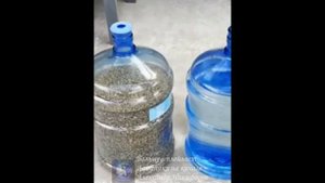 Лайфхак. Идея для кормушки