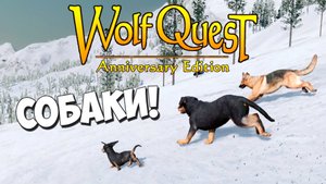 Увидеть новый снег и умереть.. в водопаде! WolfQuest: Anniversary Edition # 105
