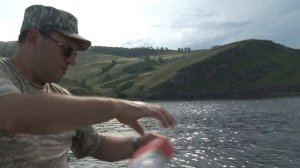 Поставушки на сазана. Часть 1