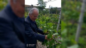 Чадыр-Лунга