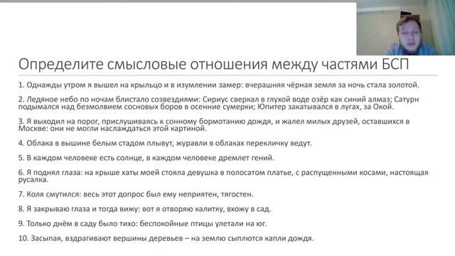 Русский язык. Виды бессоюзных сложных предложений