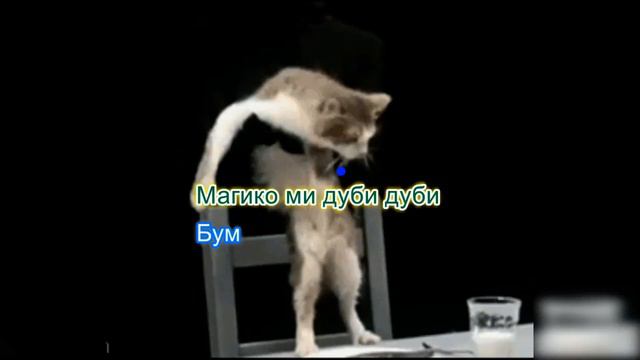 Чипи-чипи чапа-чапа (караоке)