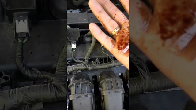 Ford Focus USA 2015 - что продают за 7700 и в каком состоянии смотреть онлайн