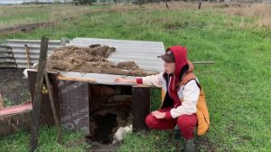 ЗЕМЛЯНКА ШКОЛЬНИКА ЗА 1 ЧАС!