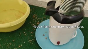 Обжариваем кофе в домашних условиях в попкорн мейкере coffee roasting