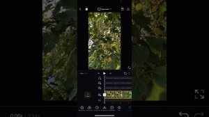 Редактируем видео в приложении VN