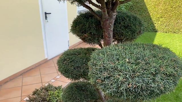 ПРИШЛА ПОСЫЛКА.ДОМИК ДЛЯ САДА. Biohort. смотреть онлайн