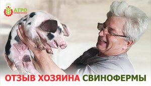 Отзыв хозяина свинофермы о применение экструдированного корма.