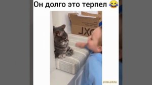 Он долго это терпел