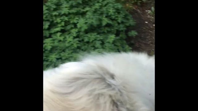 Наше новое чудо🥰 смотреть онлайн