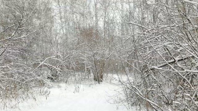 Зима-зима... Шар в небо голубое.