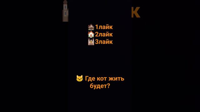 где будет кот жить?