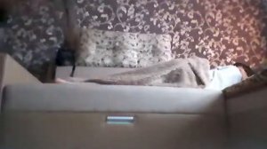 Как я занимаюсь гимнастикой дома днём после тренировок