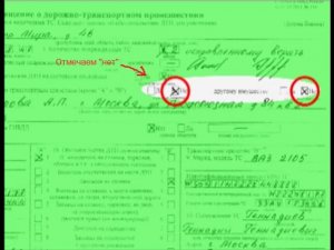 ЕВРОПРОТОКОЛ. Инструкция: как правильно заполнить?