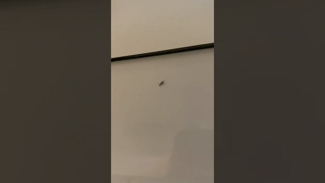 Кухня Икеа, сборка под ключ на Васильевском острове смотреть онлайн