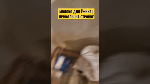 МОЛОКО ДЛЯ ЁЖИКА | ПРИКОЛЫ НА СТРОЙКЕ