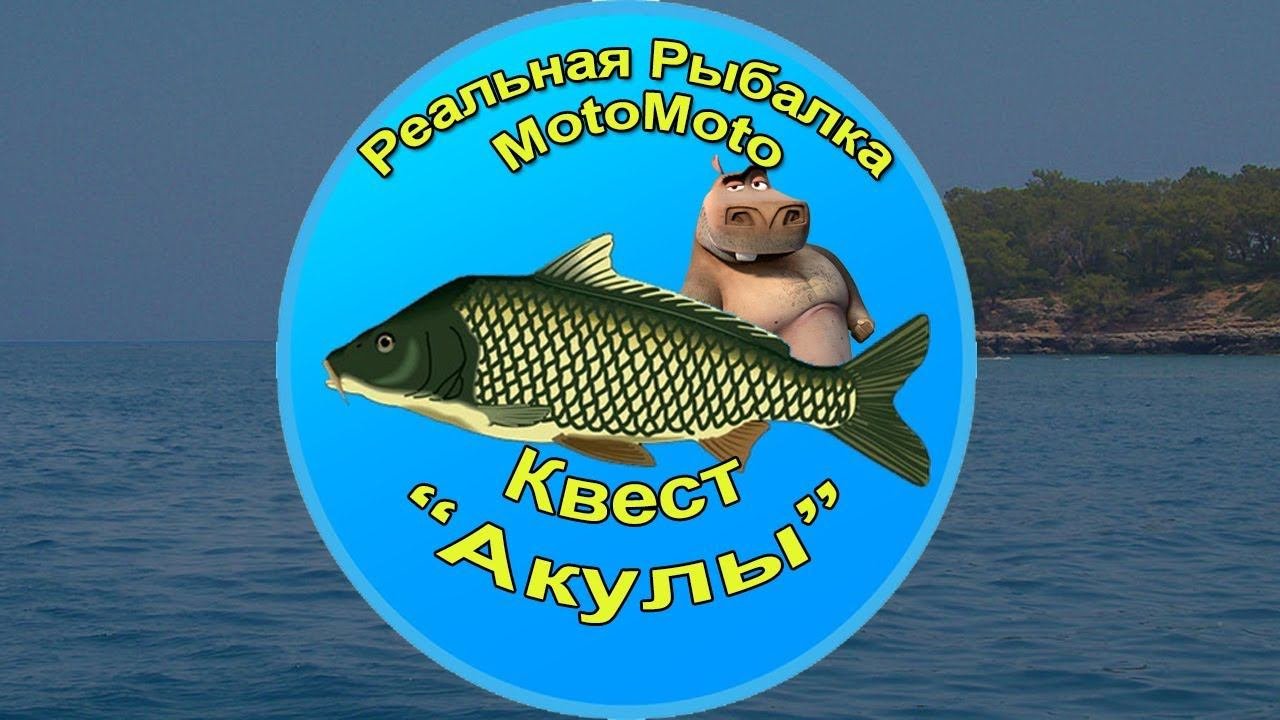Квест 
