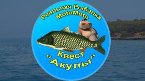 Квест "Акулы" [АРХИВ] | Реальная Рыбалка