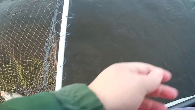 Ловля леща в сентябре. Рыбалка на леща с лодки.