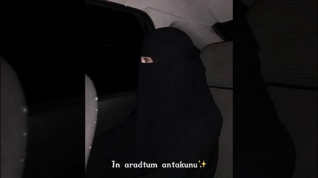 Ин арадтум антакуну #красивыйнашид #нашид2021 #нашид #мусульманка #ислам #религия