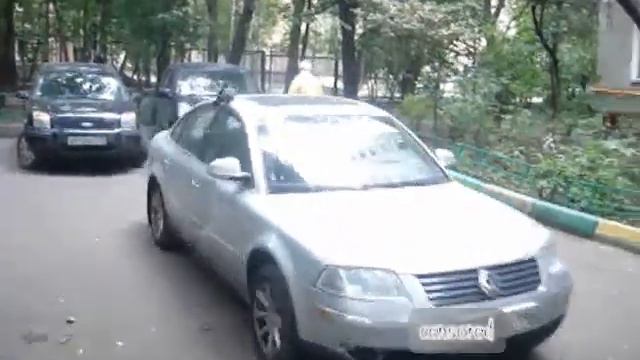 Голубь-ковбой на родео смотреть онлайн