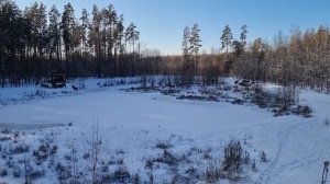 Трофейная охота на Благородного Оленя днем!  Национальный парк "Припятский"! Шикарный трофей!!!