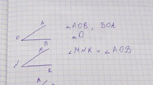 Измерение углов, транспортир. Острый и тупой угол. Математика - 5 класс