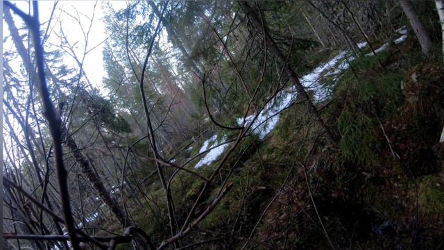 Весенняя охота на глухаря! смотреть онлайн