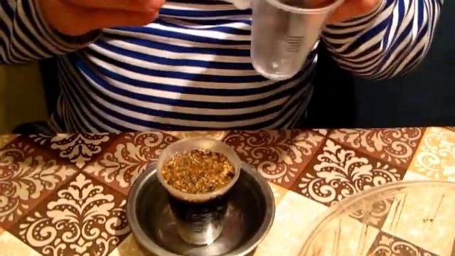 Первая пересадка рассады комнатного перца Огонёк смотреть онлайн