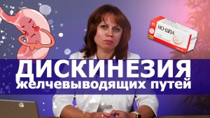 ДИСКИНЕЗИЯ ЖЕЛЧЕВЫВОДЯЩИХ ПУТЕЙ: СИМПТОМЫ И ЛЕЧЕНИЕ ДАЛС ЗДОРОВЬЕ