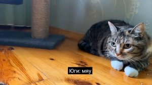 Аня канал а ну-ка давай-ка