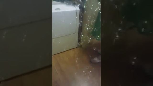 Bubble blitz: Bubble blowout review смотреть онлайн