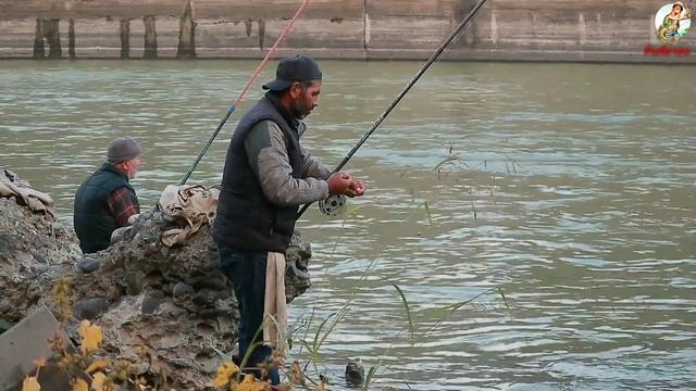 Ловля Карася в Ноябре. Как поймать Карася. Прикормка наживка для Карася в Ноябре. смотреть онлайн