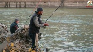 Ловля Карася в Ноябре. Как поймать Карася. Прикормка наживка для Карася в Ноябре.