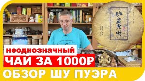 ЧАЙ ЗА 1000 РУБЛЕЙ или ОБЗОР ШУ ПУЭРА МЭНХАЙ БРАУН.