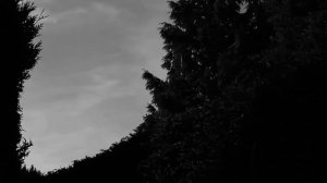 Кто такой "Человек-мотылёк"? Откуда? Правда ли существовал?