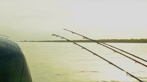 Осенняя ловля сома на Волге. Донка и квок.