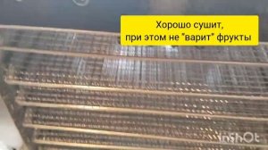 Я сделала себе подарок! Что умеет делать электросушилка GfGril GFD-010?