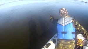 Рыбалка в Омской области  Джиг на Иртыше