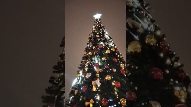 приближается 2024 новый год пожелания от волшебника от 3 декабря смотреть онлайн