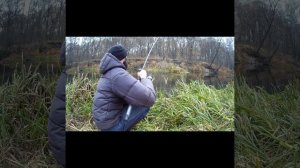 Рыбалка Осенью на КУРИНУЮ ПЕЧЕНЬ НА РЕКЕ