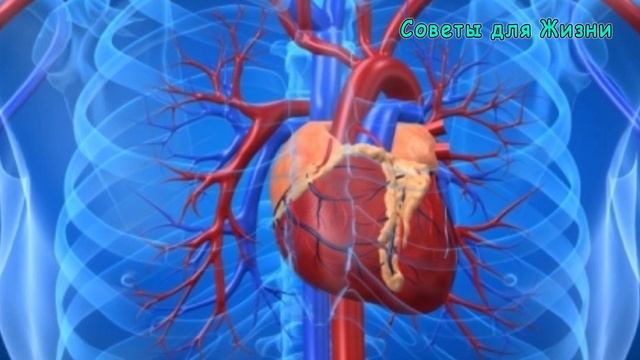 Что будет Если Есть Овсянку Каждый День ?