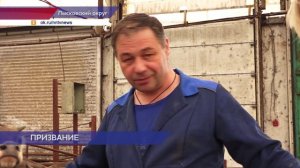 Лысковчанин Александр Ёлкин уже 30 лет работает ветврачом