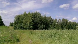 Братья Радченко - Учил отец, учила мать...