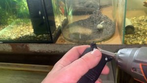 Практически бесшумный компрессор для аквариума с AliExpress.  #аквариум #компрессор #аквариумистика