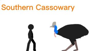 Modern Animals vs Human