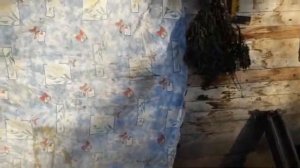 Экстренно утепляем курятник#какбыстроутеплитькурятник_к_зиме#утепляем_курятник_за20минут#