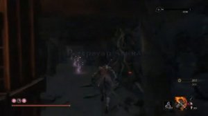 ?Sekiro: Shadows Die Twice   У секретного прохода, Генетиро